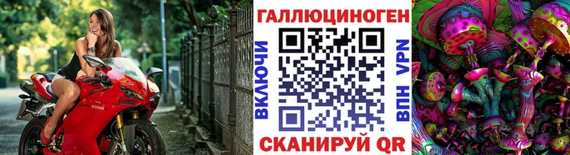 наркотики  Звенигово  Псилоцибиновые грибы Magic Shrooms 